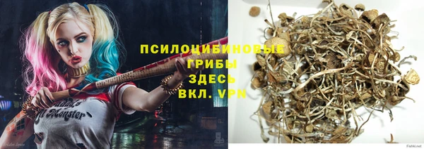 соль курить ск Алзамай