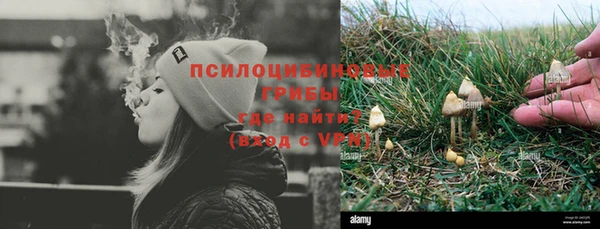 героин Алексин