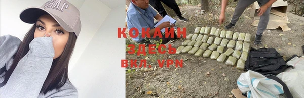 соль курить ск Алзамай