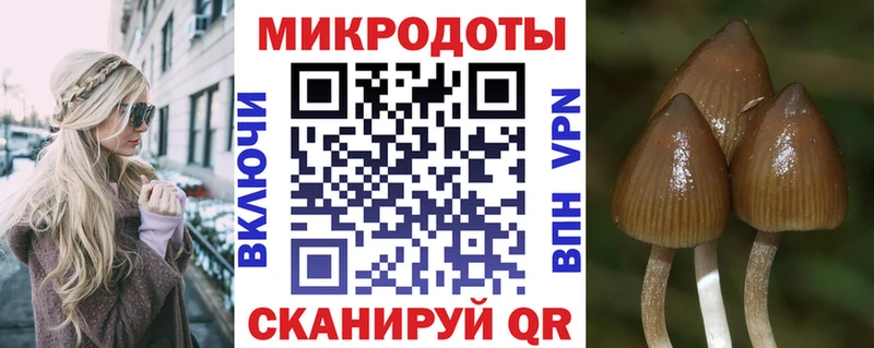 Псилоцибиновые грибы Magic Shrooms Бабушкин